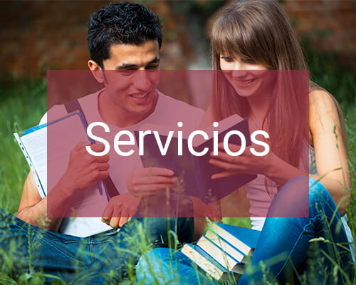 Servicios